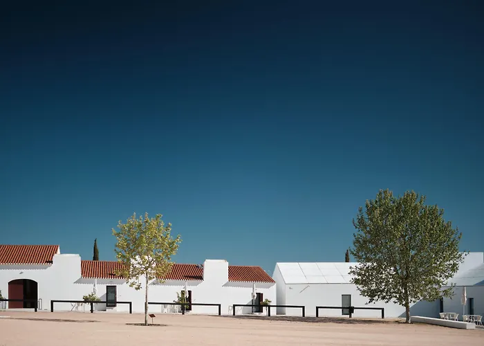 Torre De Palma Wine Hotel, Monforte, A Member Of Design Hotels